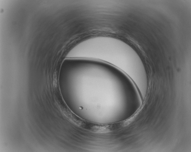 X0000084030170200702160901