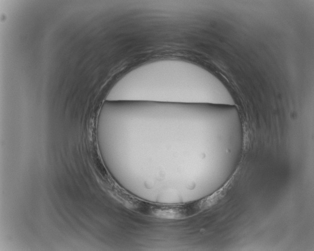 X0000084030171200702160901