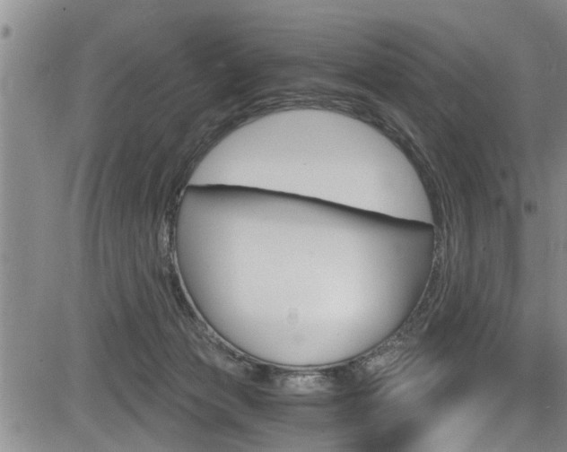 X0000084030173200702160901