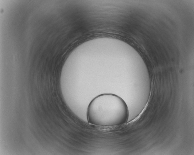 X0000084030174200702160901