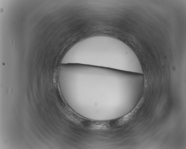 X0000084030175200702160901