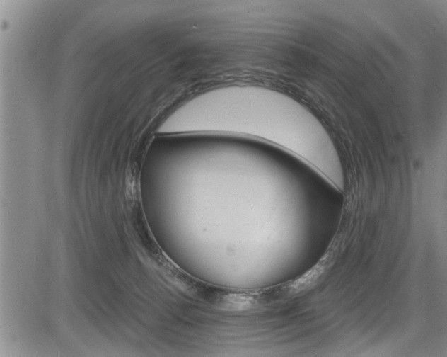 X0000084030176200702160901