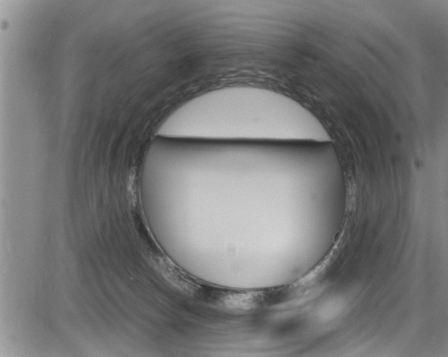 X0000084030178200702160901