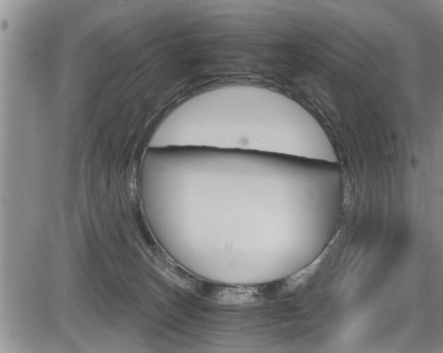 X0000084030179200702160901