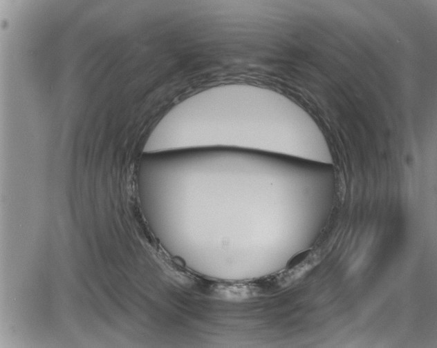 X0000084030181200702160901