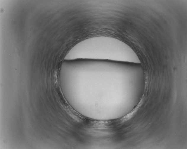 X0000084030182200702160901