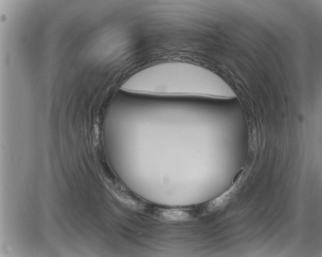 X0000084030183200702160901