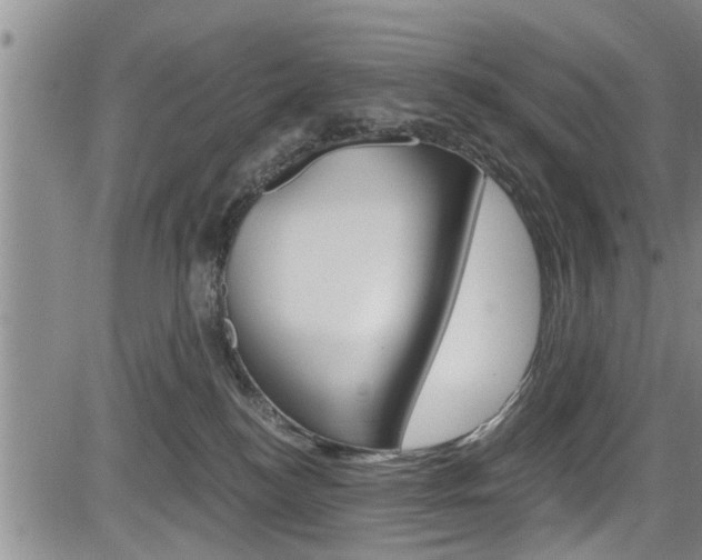 X0000084030184200702160901