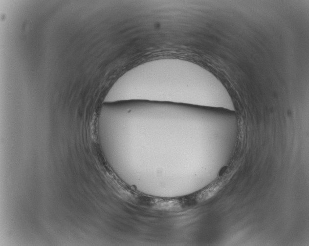 X0000084030185200702160901