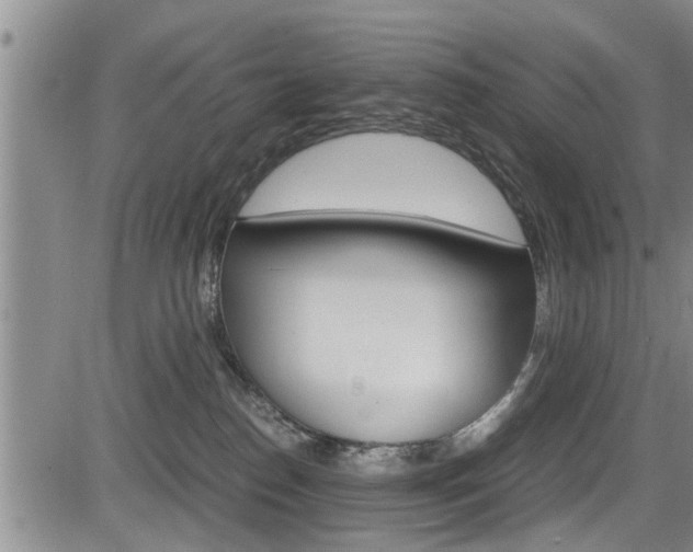 X0000084030186200702160901