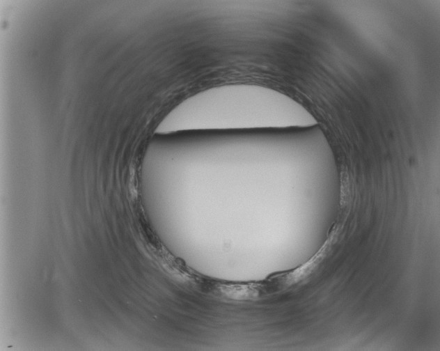 X0000084030187200702160901