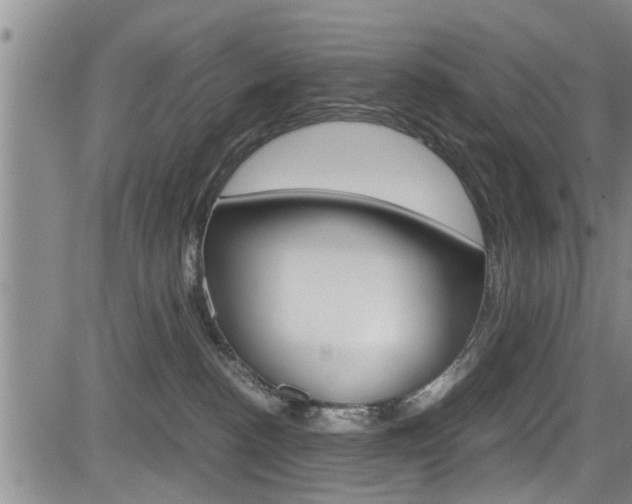 X0000084030188200702160901