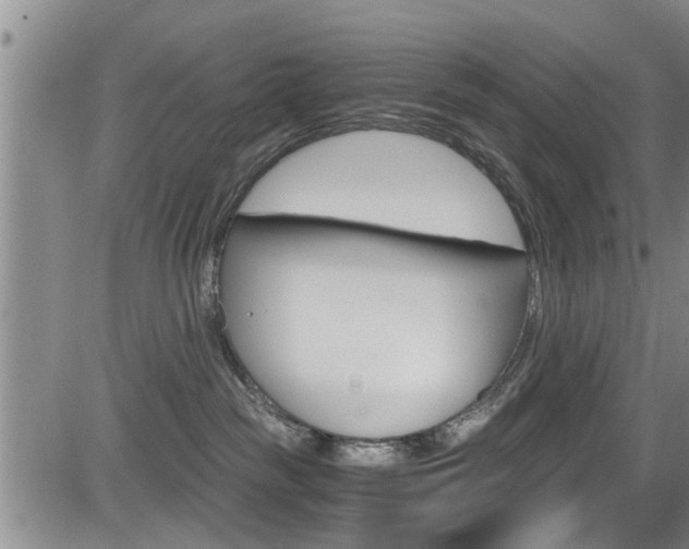 X0000084030189200702160901