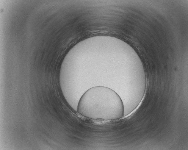 X0000084030190200702160901