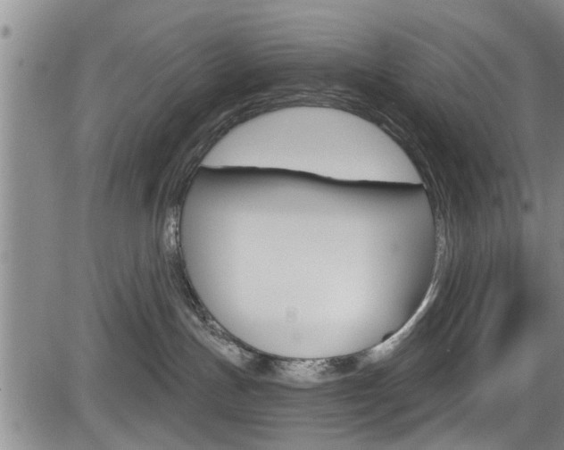 X0000084030191200702160901