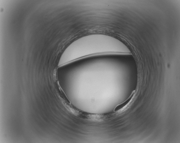 X0000084030192200702160901