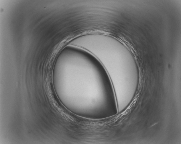 X0000084030193200702160901