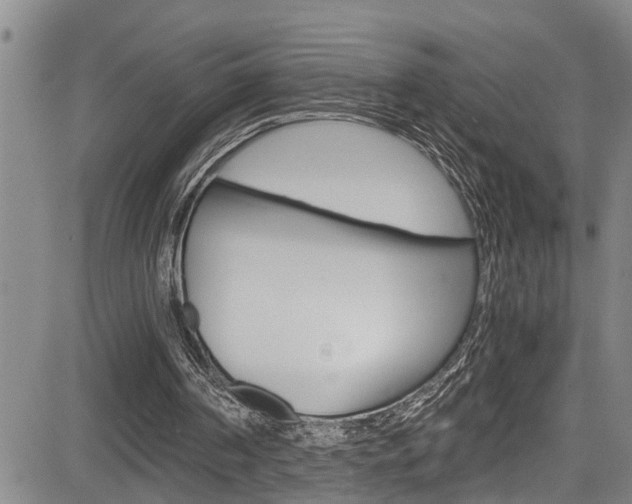 X0000084030194200702160901