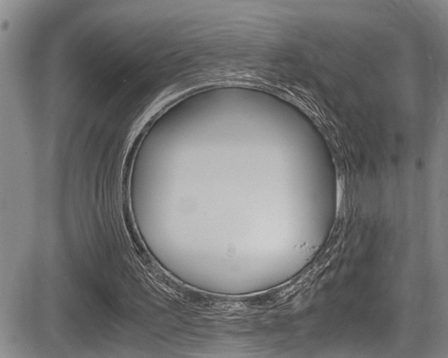 X0000084030195200702160901