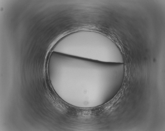 X0000084030196200702160901