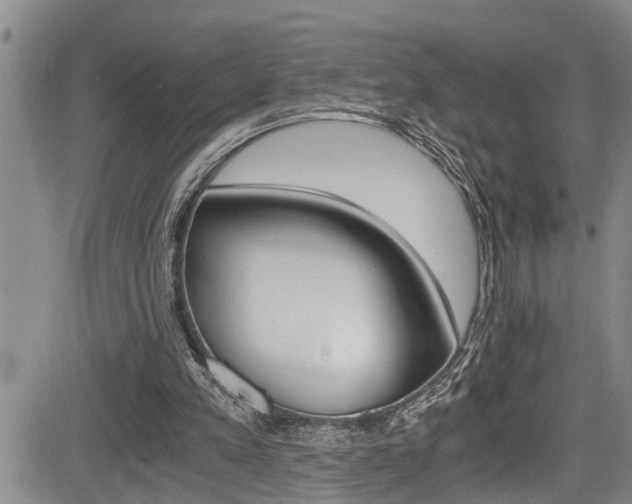 X0000084030197200702160901