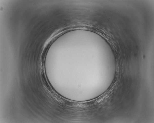 X0000084030198200702160901