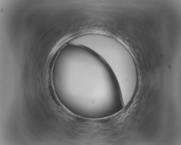 X0000084030199200702160900