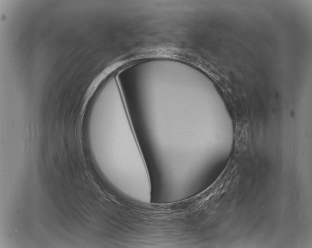 X0000084030200200702160900