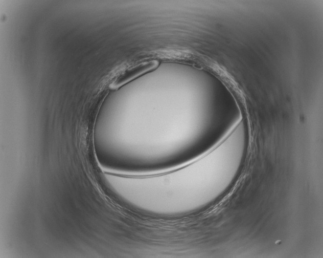 X0000084030201200702160900