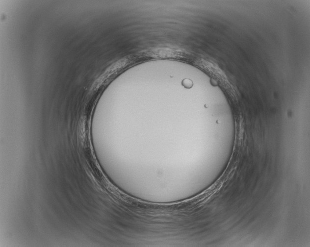 X0000084030202200702160900