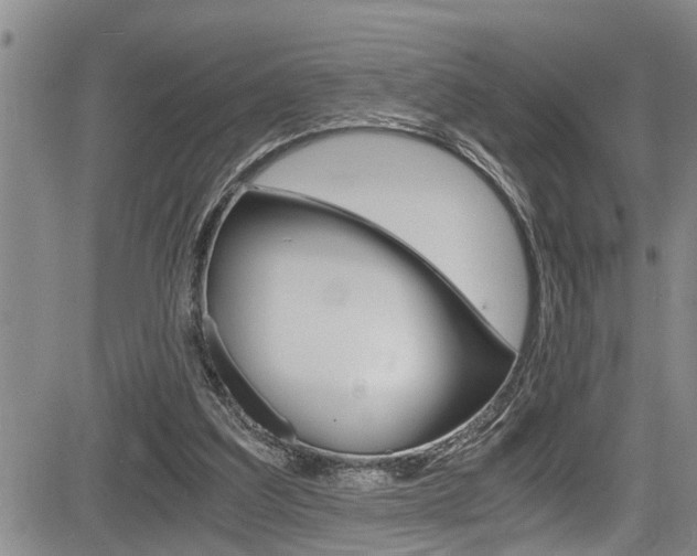 X0000084030203200702160900