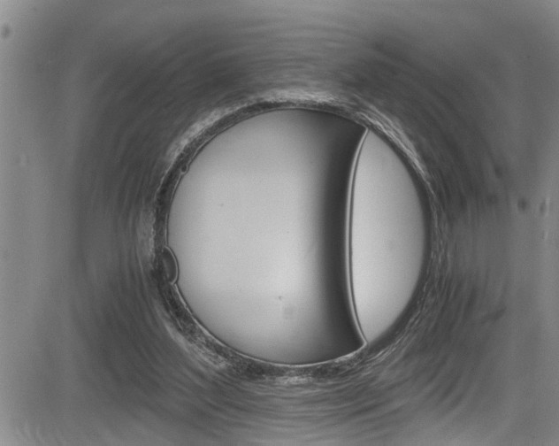 X0000084030204200702160900