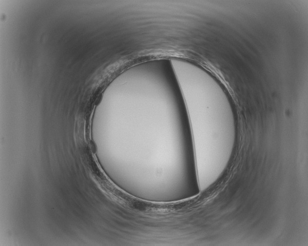 X0000084030205200702160900