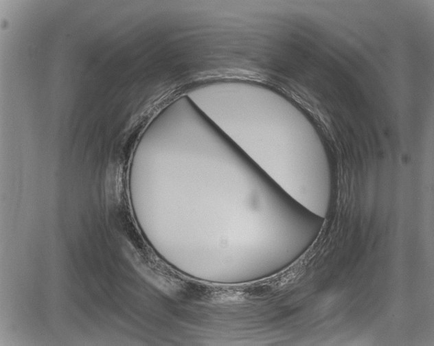 X0000084030206200702160900