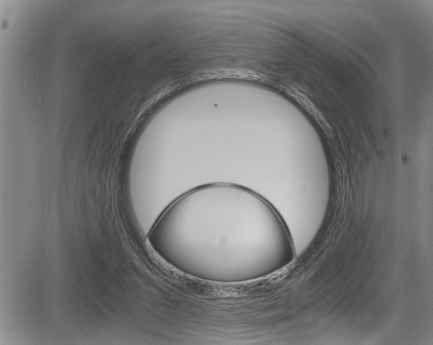 X0000084030207200702160900