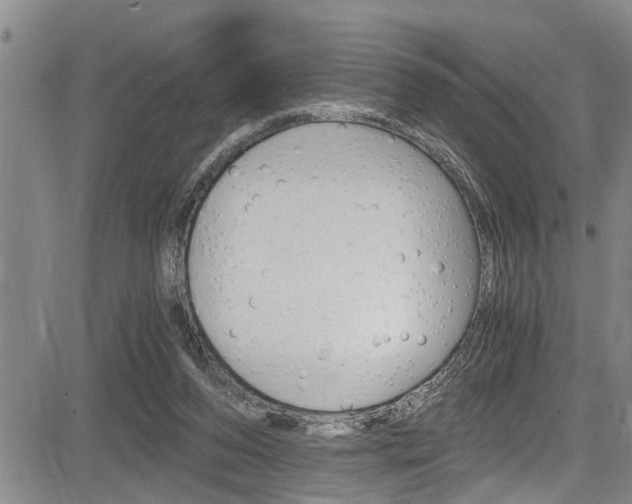 X0000084030208200702160900