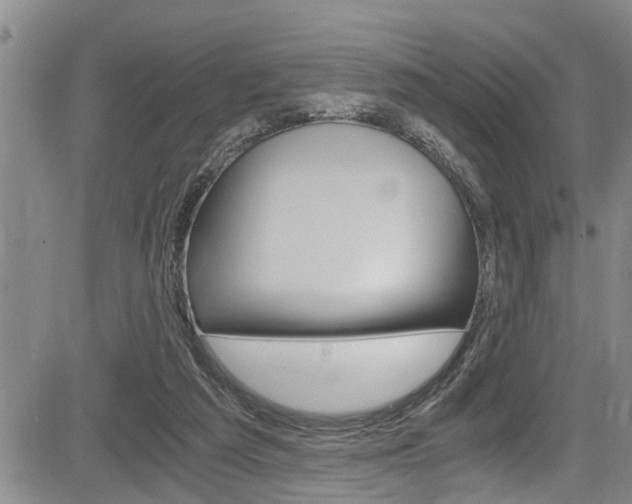 X0000084030209200702160900