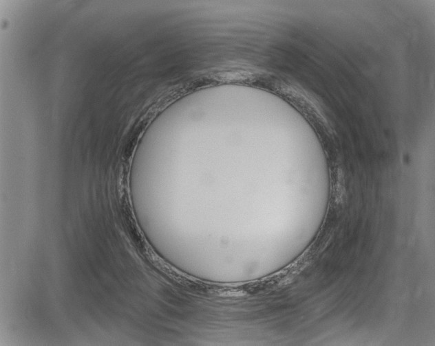 X0000084030210200702160900