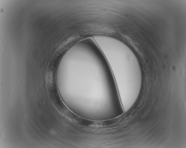 X0000084030211200702160900