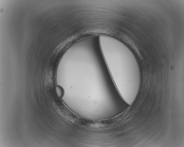 X0000084030212200702160900