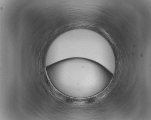 X0000084030213200702160900