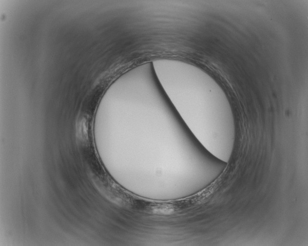 X0000084030214200702160900