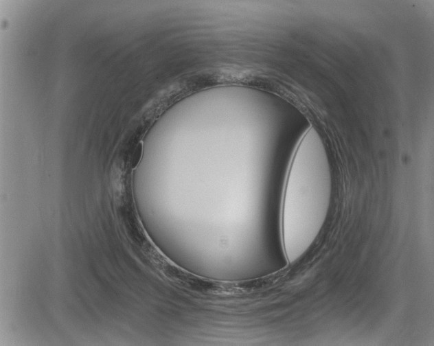 X0000084030215200702160900