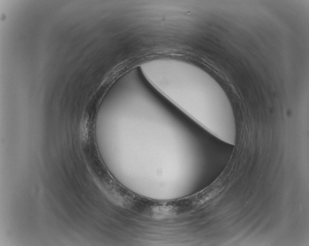 X0000084030216200702160900