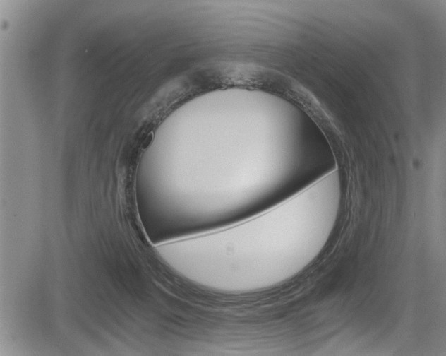 X0000084030217200702160900