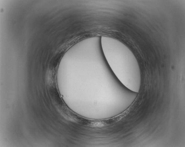 X0000084030218200702160900