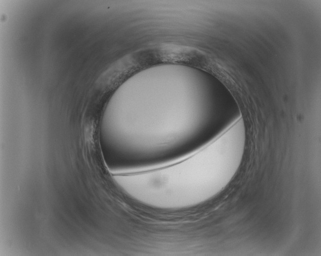 X0000084030219200702160900