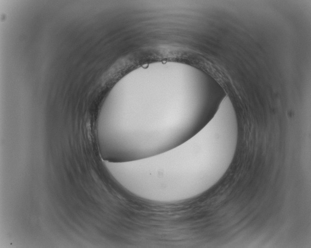 X0000084030220200702160900