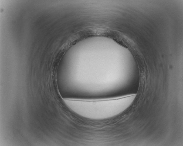 X0000084030221200702160900