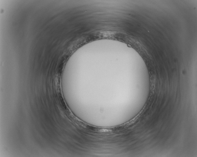 X0000084030222200702160900